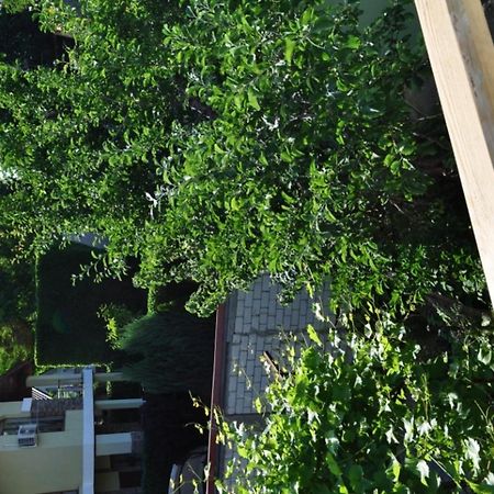 Dacha V Arkadii Hotel โอเดสซา ภายนอก รูปภาพ