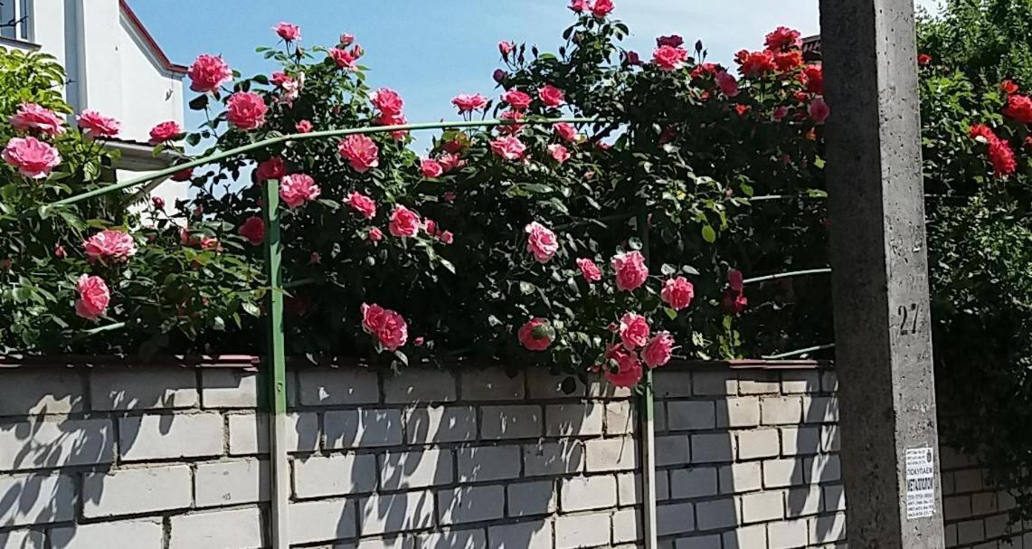 Dacha V Arkadii Hotel โอเดสซา ภายนอก รูปภาพ